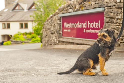 Westmorland Hotel Tebay