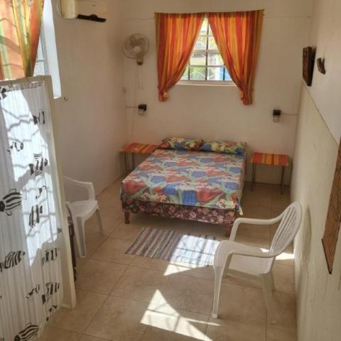Dolphin Inn Guesthouse & Apartments photo 1