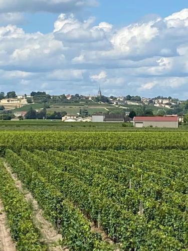 Gîte au coeur du vignoble de Saint-Emilion - Location saisonnière - Saint-Sulpice-de-Faleyrens