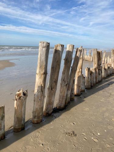 Les Dunes de Ste Cécile