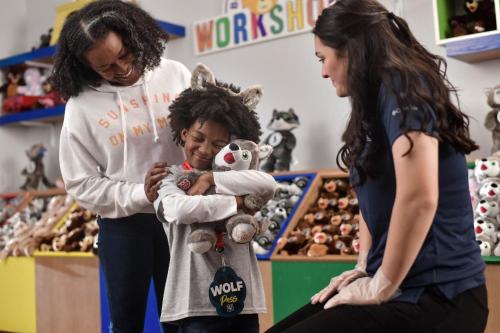Great Wolf Lodge Chicago/Gurnee - image 5