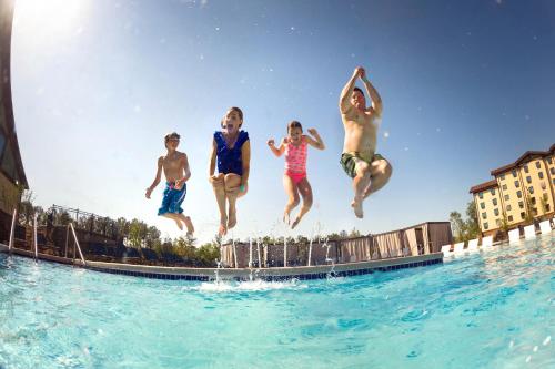 Great Wolf Lodge Chicago/Gurnee - image 10