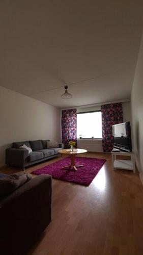 Tilava huoneisto Jyväskylästä - Apartment - Jyväskylä