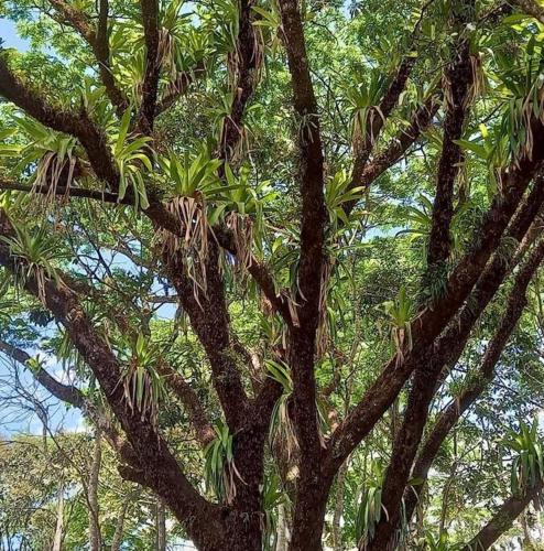 Casa de campo rodeada de naturaleza