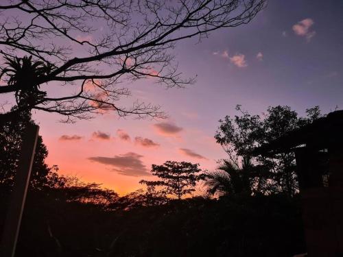 Casa de campo rodeada de naturaleza