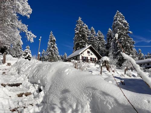 Le Joly Chalet, Unterkunft in Saint-Imier