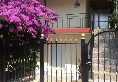 Villa Sofia