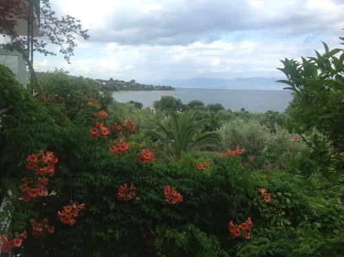 Villa Sofia - image 9