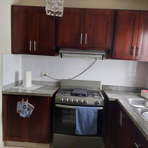 Acogedor Apartamento en Santiago