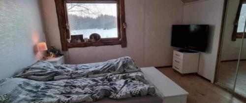 . Urlaub mit Hund Bauernhof in Alleinlage in Finnland