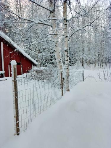 Urlaub mit Hund Bauernhof in Alleinlage in Finnland