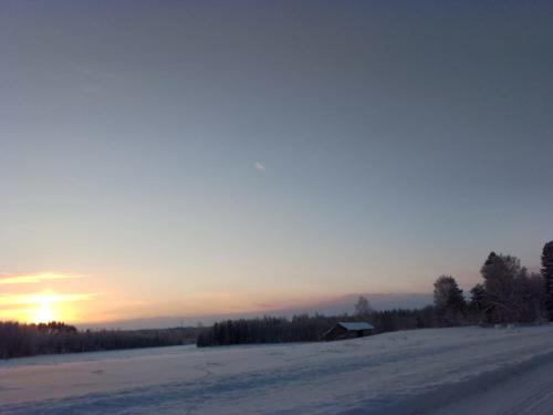 Urlaub mit Hund Bauernhof in Alleinlage in Finnland