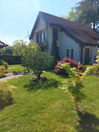 Kuca na Savi - Stari hrast