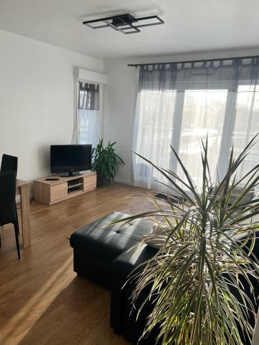 cosy appartement Disneyland Paris val d'Europe la vallée Village parking inclus 650m de la gare RER - Location saisonnière - Montévrain