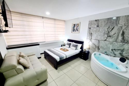 Ecusuites Habitación VIP con Jacuzzi Hidro - image 4