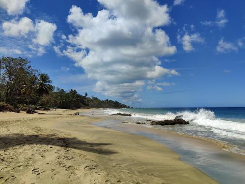 Queen Angel Suite. Stunning Apartment on Grafton Beach with Direct Beach Access