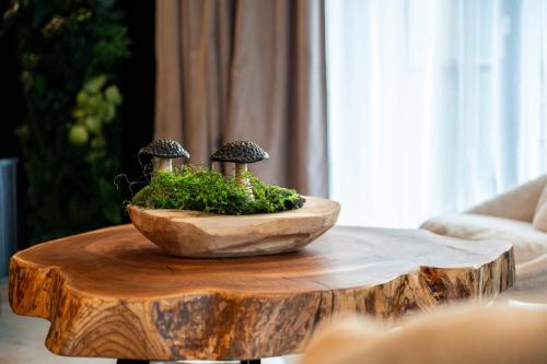 Górski Eden by Comfort Apartments, Szklarska Poręba (zdjęcie 9)