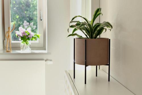 Elbblick, Hamburgo (foto 4)