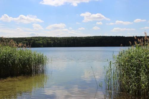 Schloss Selchow - Villa am See - 60 min von Berlin Zentrum