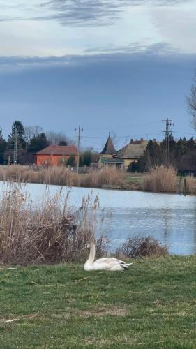 Aqua terme Palic