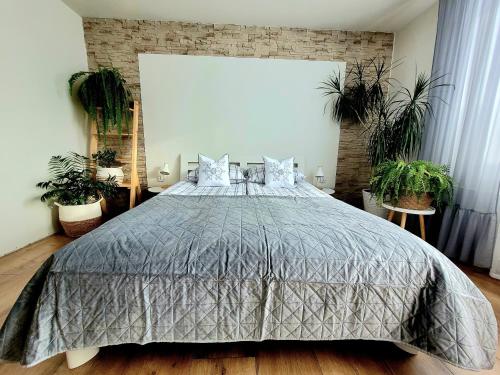 HAFCIK Apartamenty