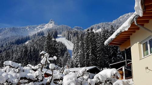 Apkārtne, Ferienwohnung Lechleitner in Holz