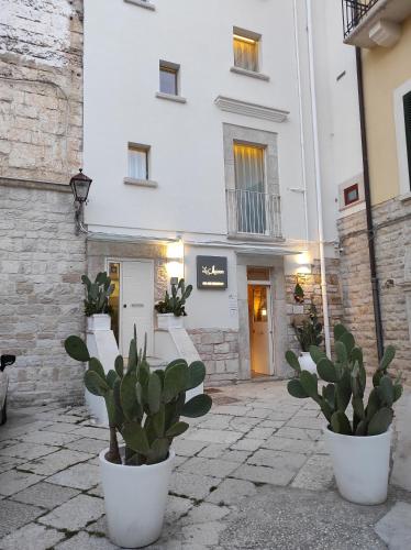 La Maison, Trani