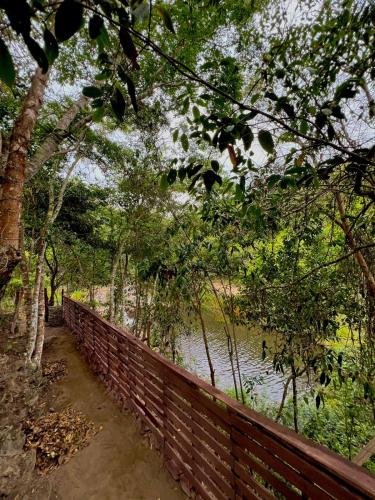 Reserva do Bosque Hospedaria e Natureza