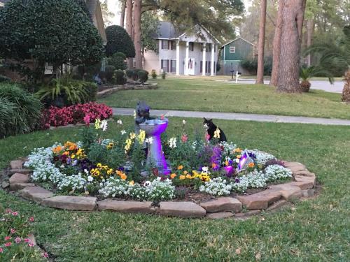 2 room luxury suite near airport & The Woodlands in Houston, USA