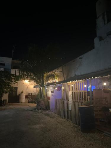 HOSTEL XIINBAL HABITACIÓN COMUNITARIA in Valladolid, Mexico