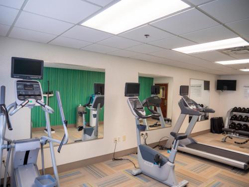 Holiday Inn Express Hotel & Suites Greenville Airport