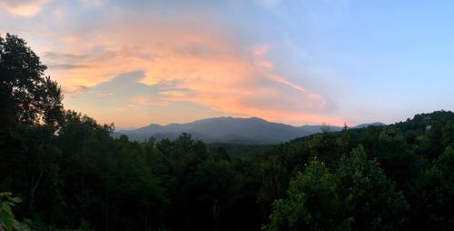 Heavenly View - Bear Themed Cabin, HotTub, Dog-Friendly, Near Gatlinburg