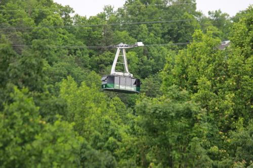 Heavenly View - Bear Themed Cabin, HotTub, Dog-Friendly, Near Gatlinburg