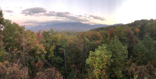 Heavenly View - Bear Themed Cabin, HotTub, Dog-Friendly, Near Gatlinburg