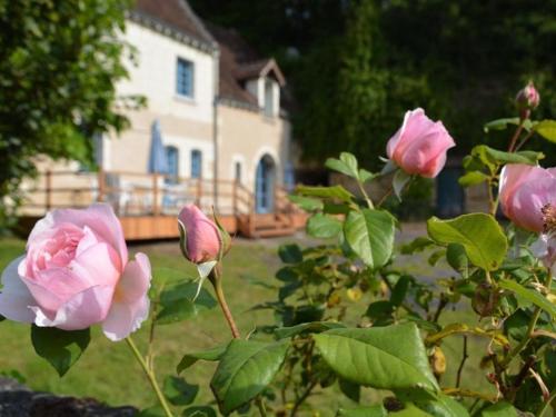 Gîte Chambourg-sur-Indre, 6 pièces, 11 personnes - FR-1-381-558 - Location saisonnière - Chambourg-sur-Indre