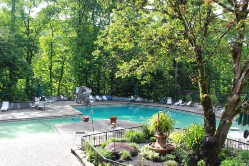 Heavenly View - Bear Themed Cabin, HotTub, Dog-Friendly, Near Gatlinburg