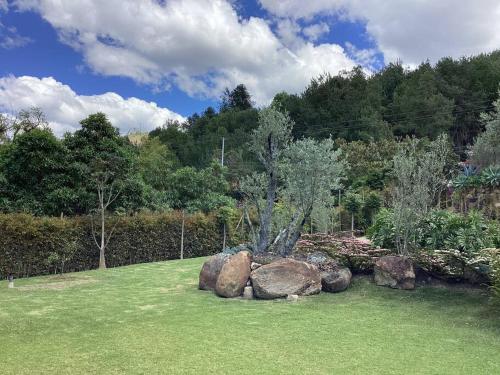 Casa de los Olivos! in Villa De Leyva