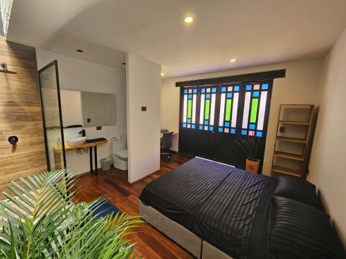 Casa Alba - image 2
