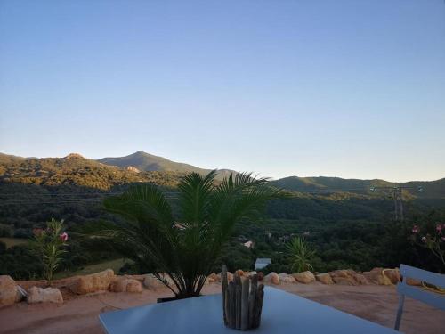 Studio entre mer et montagne - Location saisonnière - Ocana