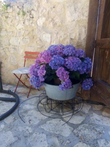 Dārzs, LA CASA NUEVA in Valleruela Depedraza