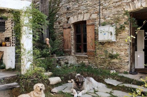 Ancient secluded Riverside Mill. Ponte Della Valle