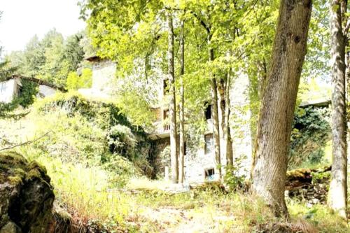 Ancient secluded Riverside Mill. Ponte Della Valle