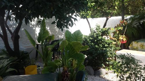 Zagara Bed & Breakfast – Lipari, WA