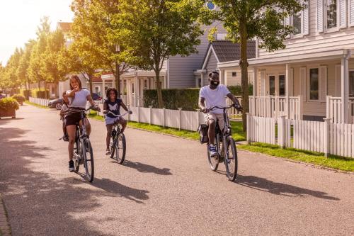 Sports and activities, Summio Parc Aquadelta in Schouwen-Duiveland