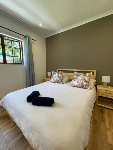 Brummer House - Living The Breede, Malgas (photo 4)