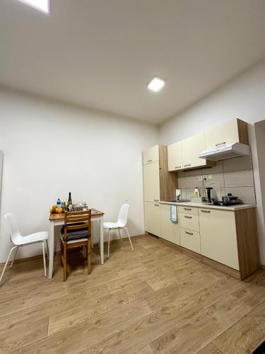 Haas Apartments Downtown with Parking - image 4