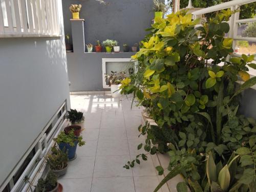 Garten, Residencia BB in Praia