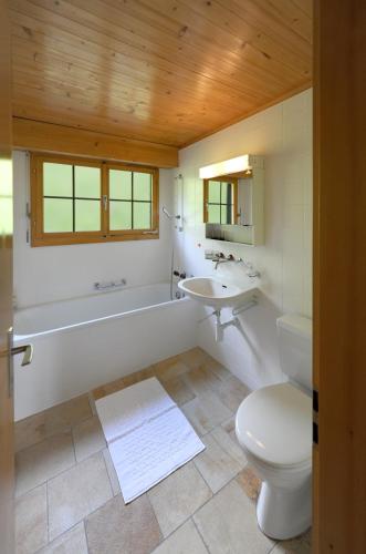 Ferienlenk Mountain Village - image 5