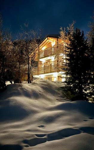 Paradis Perdu SKI IN & QUIET chalet 14 personnes