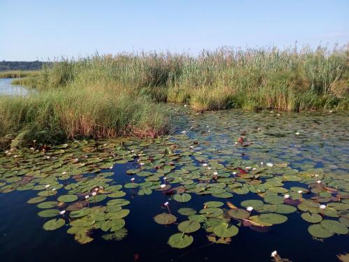 POVI Holiday Home in カサネ